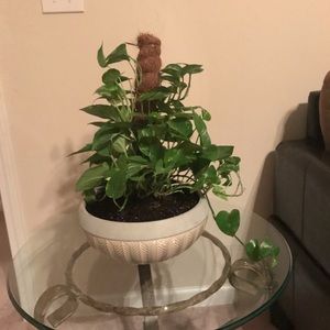 Meet your Posher, Queenie